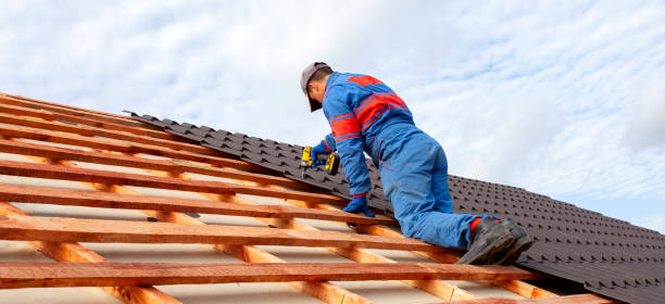 Best Gutter Installation and Repair  in Papillion, NE