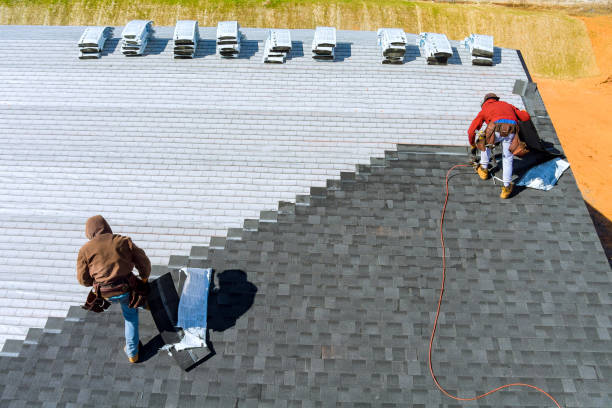 Best Commercial Roofing Services  in Papillion, NE